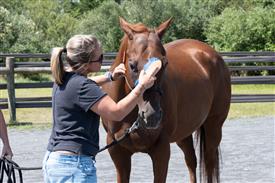 LR-WRF 08022025-Retreat-3140